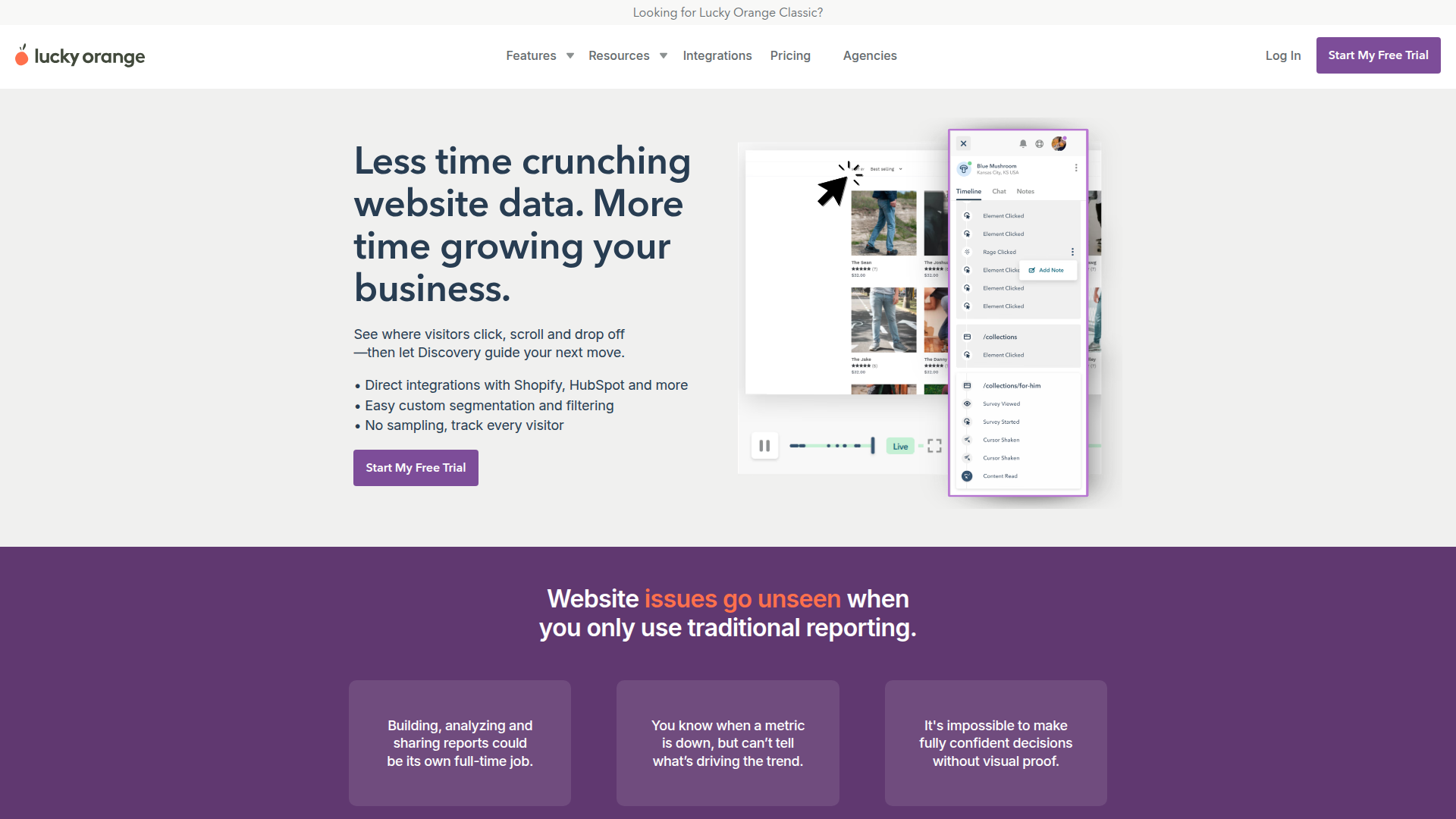 Lucky Orange live visitor tracking